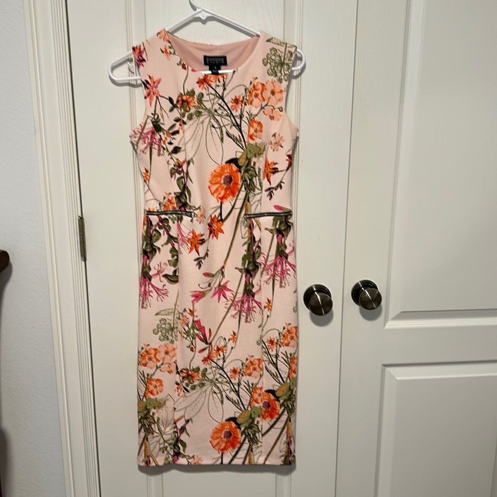 Enfocus Studio Dress 4